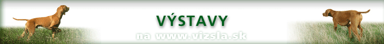 V�stavy